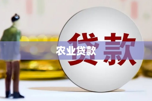 扶风农业贷款