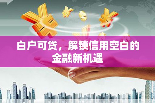 扶风白户可贷，解锁信用空白的金融新机遇
