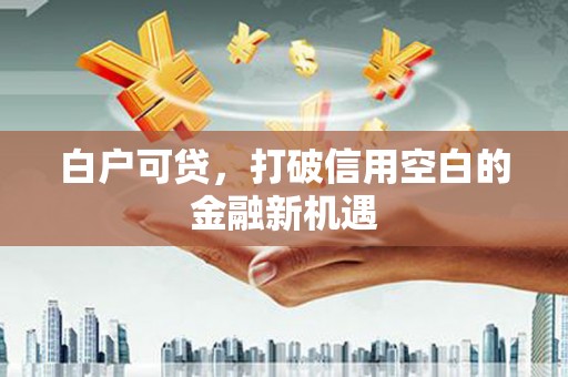 扶风白户可贷，打破信用空白的金融新机遇