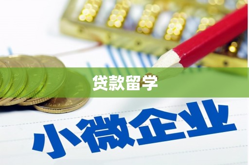 扶风贷款留学
