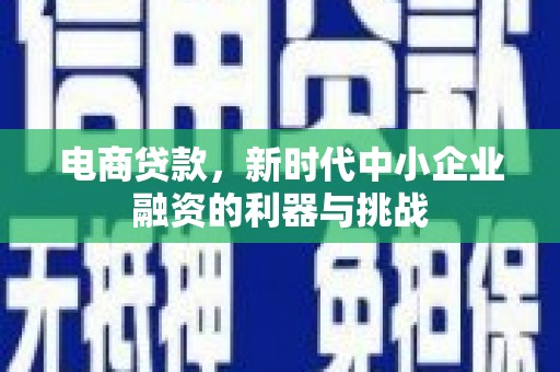 扶风电商贷款，新时代中小企业融资的利器与挑战