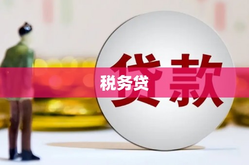 扶风税务贷