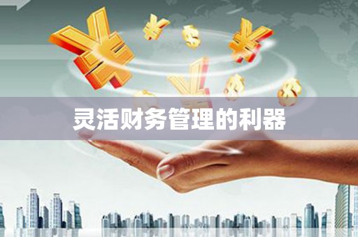 扶风灵活财务管理的利器