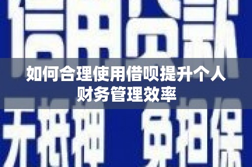 扶风如何合理使用借呗提升个人财务管理效率