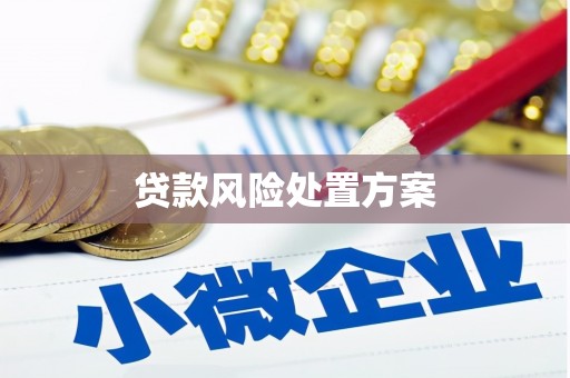 扶风贷款风险处置方案