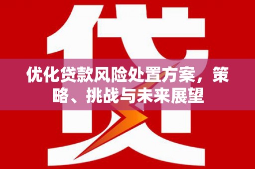 扶风优化贷款风险处置方案，策略、挑战与未来展望