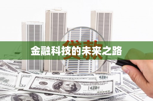 扶风金融科技的未来之路