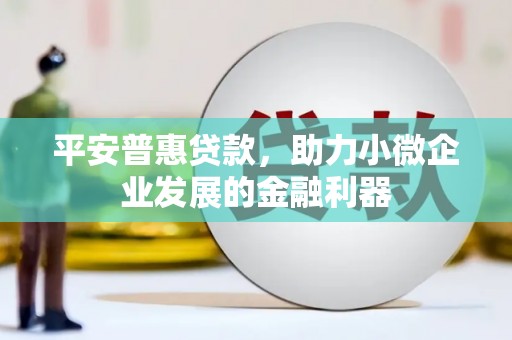 扶风平安普惠贷款，助力小微企业发展的金融利器