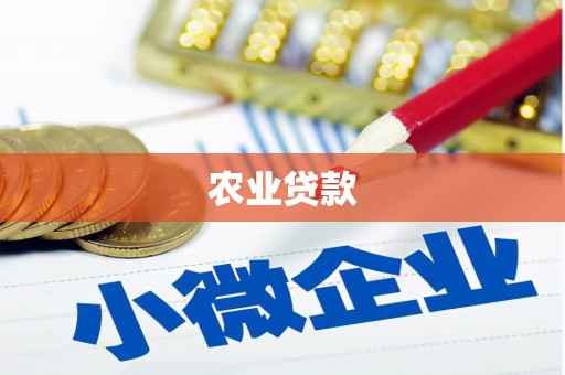 扶风农业贷款
