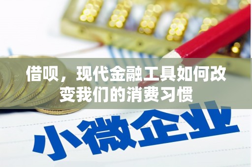 扶风借呗，现代金融工具如何改变我们的消费习惯