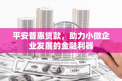 扶风平安普惠贷款，助力小微企业发展的金融利器