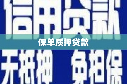 扶风保单质押贷款