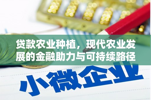 扶风贷款农业种植，现代农业发展的金融助力与可持续路径