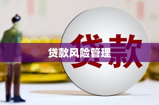 扶风贷款风险管理