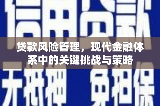 扶风贷款风险管理，现代金融体系中的关键挑战与策略