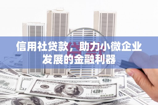扶风信用社贷款，助力小微企业发展的金融利器