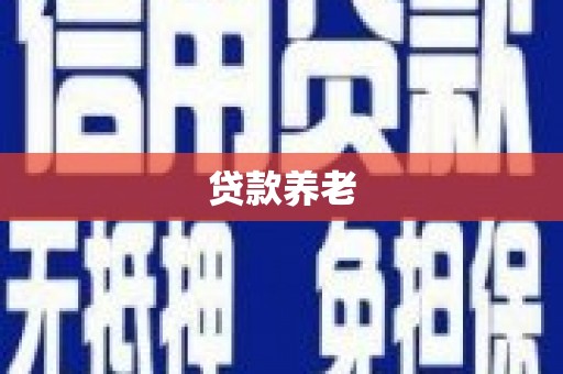 扶风贷款养老