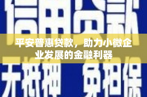 扶风平安普惠贷款，助力小微企业发展的金融利器