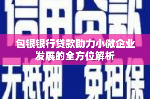 扶风包银银行贷款助力小微企业发展的全方位解析