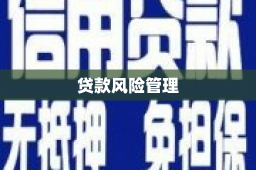 扶风贷款风险管理
