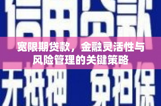 扶风宽限期贷款，金融灵活性与风险管理的关键策略