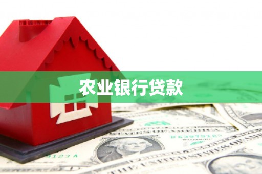 扶风农业银行贷款