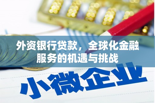 扶风外资银行贷款，全球化金融服务的机遇与挑战
