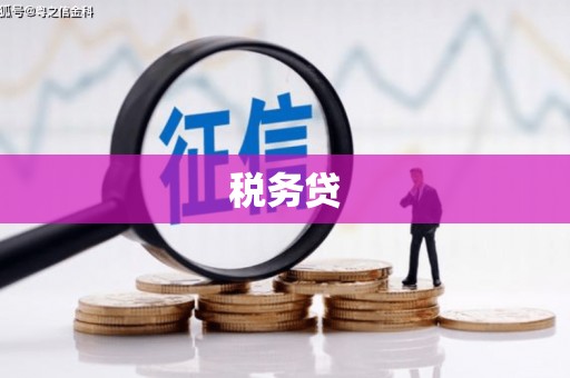 扶风税务贷