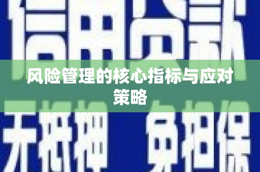 扶风风险管理的核心指标与应对策略