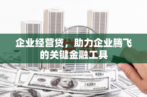 扶风企业经营贷，助力企业腾飞的关键金融工具