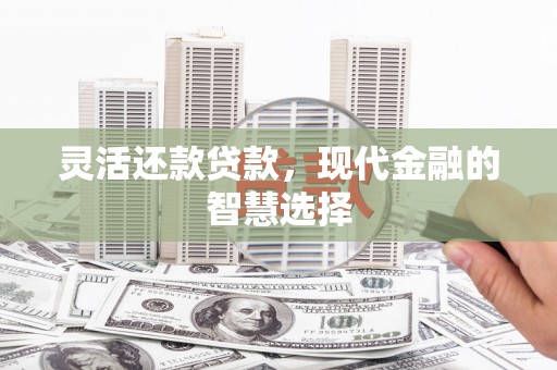 扶风灵活还款贷款，现代金融的智慧选择