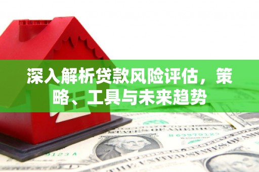 扶风深入解析贷款风险评估，策略、工具与未来趋势