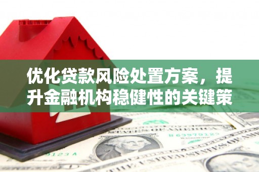 扶风优化贷款风险处置方案，提升金融机构稳健性的关键策略