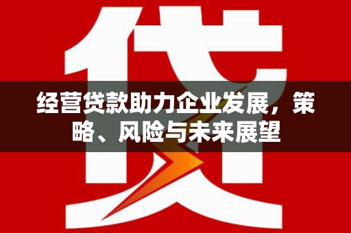 扶风经营贷款助力企业发展，策略、风险与未来展望
