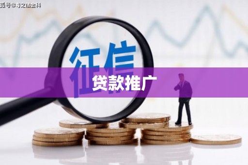 扶风贷款推广