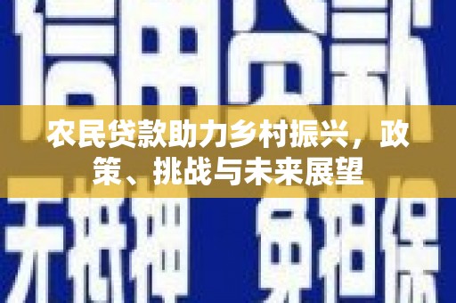 扶风农民贷款助力乡村振兴，政策、挑战与未来展望