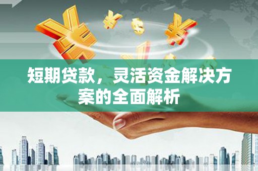扶风短期贷款，灵活资金解决方案的全面解析