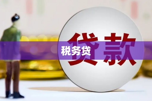 扶风税务贷