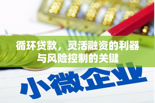 扶风循环贷款，灵活融资的利器与风险控制的关键