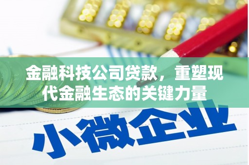扶风金融科技公司贷款，重塑现代金融生态的关键力量