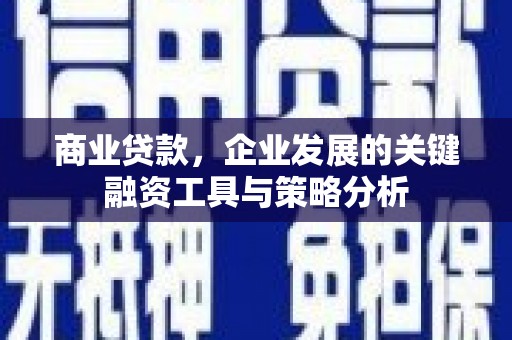 扶风商业贷款，企业发展的关键融资工具与策略分析