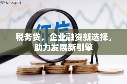 扶风税务贷，企业融资新选择，助力发展新引擎