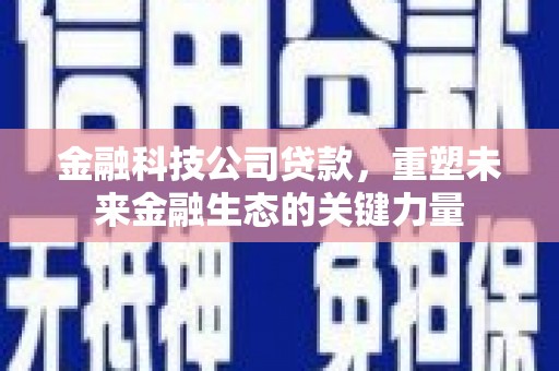 扶风金融科技公司贷款，重塑未来金融生态的关键力量