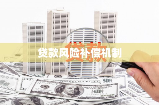扶风贷款风险补偿机制