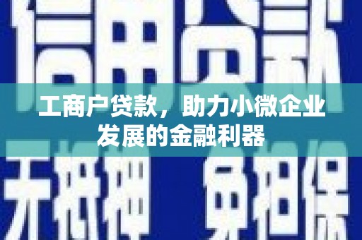 扶风工商户贷款，助力小微企业发展的金融利器