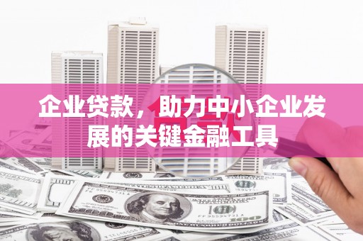 扶风企业贷款，助力中小企业发展的关键金融工具