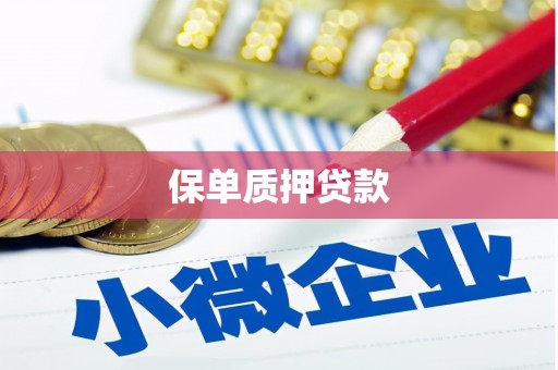 扶风保单质押贷款
