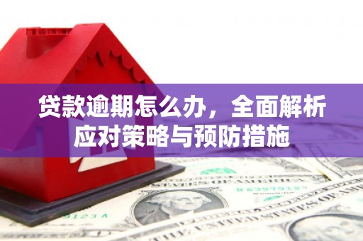扶风贷款逾期怎么办，全面解析应对策略与预防措施
