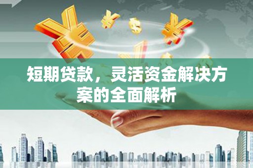 扶风短期贷款，灵活资金解决方案的全面解析