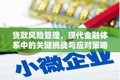扶风贷款风险管理，现代金融体系中的关键挑战与应对策略
